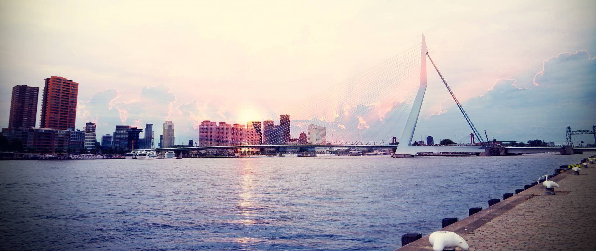 Rotterdam heeft toffe meubelwinkels